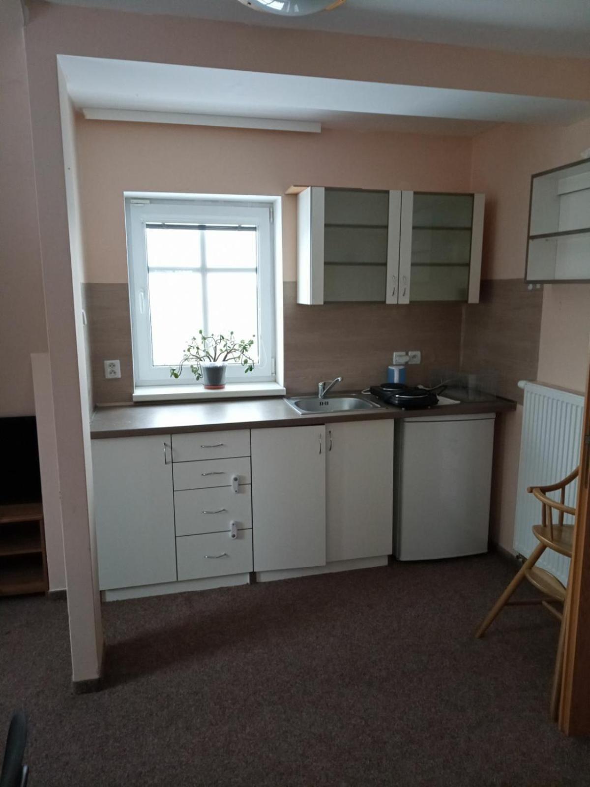Penzion Avionika Kovářská Habitación foto